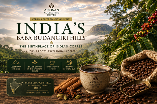 Ancient Roots: Exploring India’s Baba Budangiri Hills Coffee Region